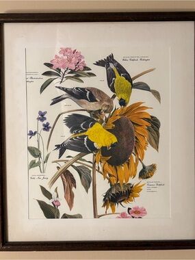 Arthur Singer - Vintage "Goldfinch" Print #6 of #8 Series